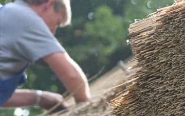 professional Tynygongl thatchers